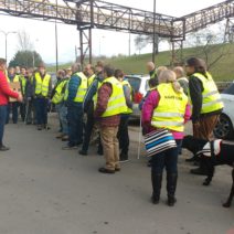 img_20161111_112351392